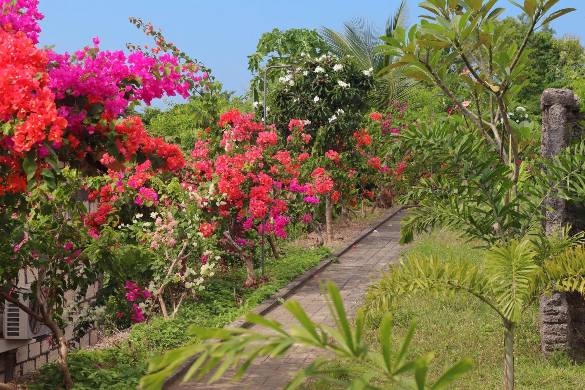 Hotel Teba Garden View Ped Exterior foto